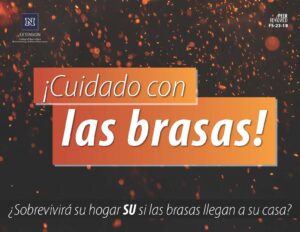 Photo of burning embers falling form the sky with text on image that reads, " ¡Cuidado con las brasas!"