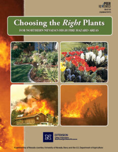 Front cover of Choosing the Right Plants guide. 