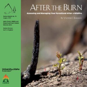 After-the-Burn-2015