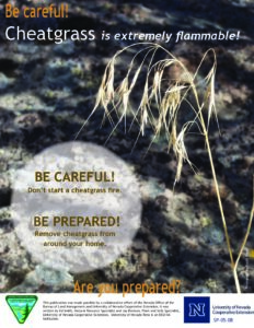 ¡Cuidado! Cheatgrass is Extremely Flammable flyer 2011 (accesible)