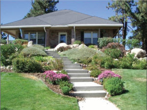Photo of a front yard of ahhouse with steps leading to the door surrounded by green well irrigated plants.