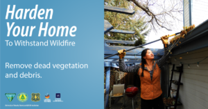Photo of a woman removing dead vegetation from a roof with text that says, "Harden your home to withstand wildfire. Remove dead vegetation and debris."