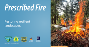 Photo of a prescribed pile burn with text that says, "Prescribe Fire. Restoring resilient landscapes."