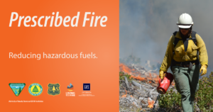 Photo of a firefighter igniting vegetation using a driptorch with text that says, "Prescribed fire. Reducing hazardous fuels."
