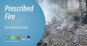 Photo of a forest floor smoldering with text that says, "Prescribed fire. Revitalizing soils."