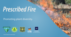 Photo of a low intensity fire with text that says, "Prescribed fire. Promoting plant diversity."
