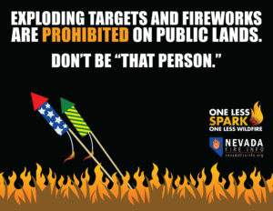 Illustration of fireworks setting grass on fire with test that says, "Exploding targets and fireworks are prohibited on public lands. Don't be "That Person."