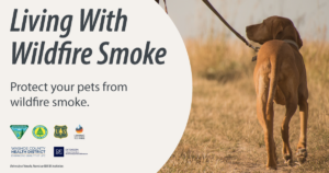 Photo of a dog on a leash outdoors with text that says, "Living With Wildfire Smoke, Protect your pets from wildfire smoke."