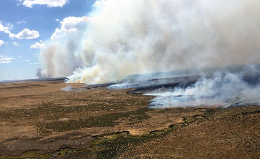 Aerial view of the north flank of the Martin Fire, July 10, 2021. Courtesy of the Bureau of Land Management.