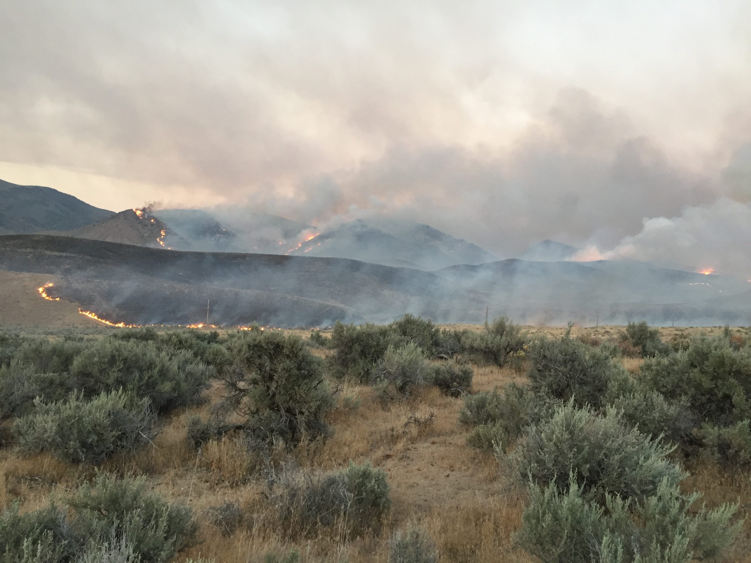 Photo of a landscape with sagebrush and grass in the foreground and in the background, the hills are on fire