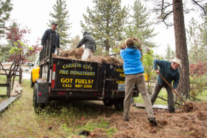 Photo of four men collecting green waste and placing it upon a truck.