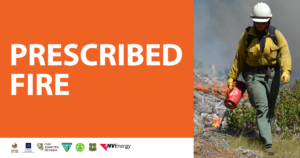 This is a graphic with a picture of a person carrying a blow torch and walking away from fire and smoke. The texts on the left spell out, "Prescribed Fire". 